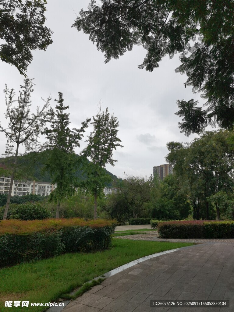 小區(qū)內(nèi)的優(yōu)美園林景觀