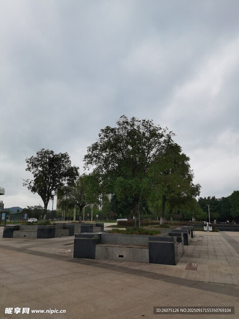 戶外開闊場地與樹木景觀