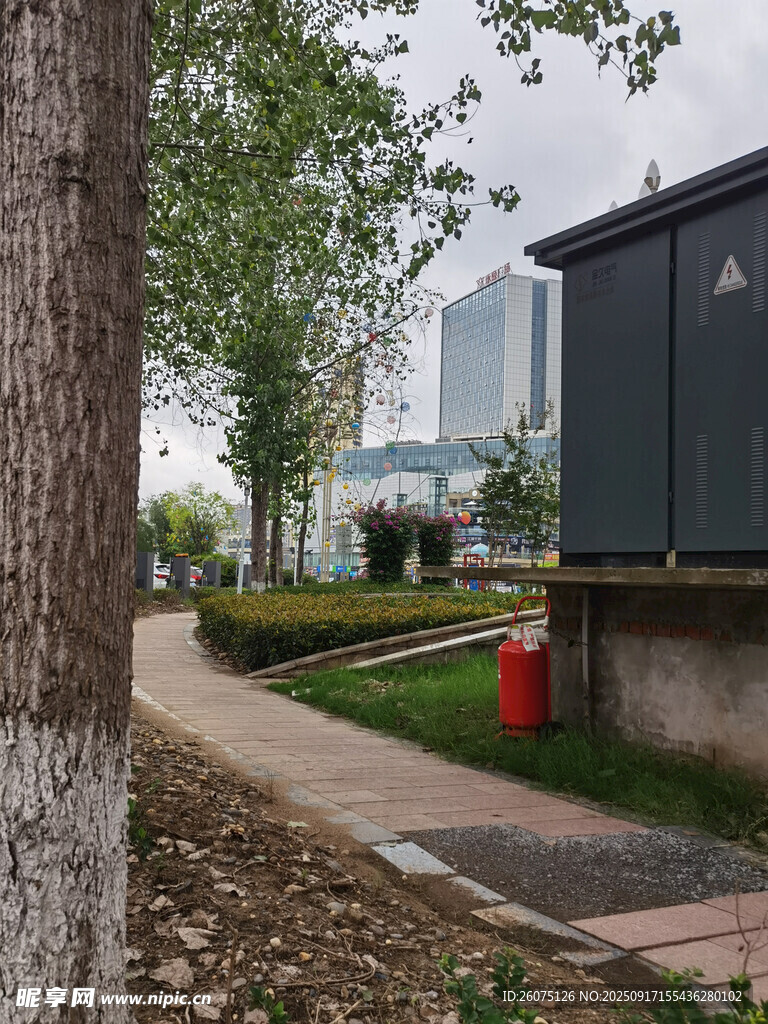 城市林蔭小道與變電箱