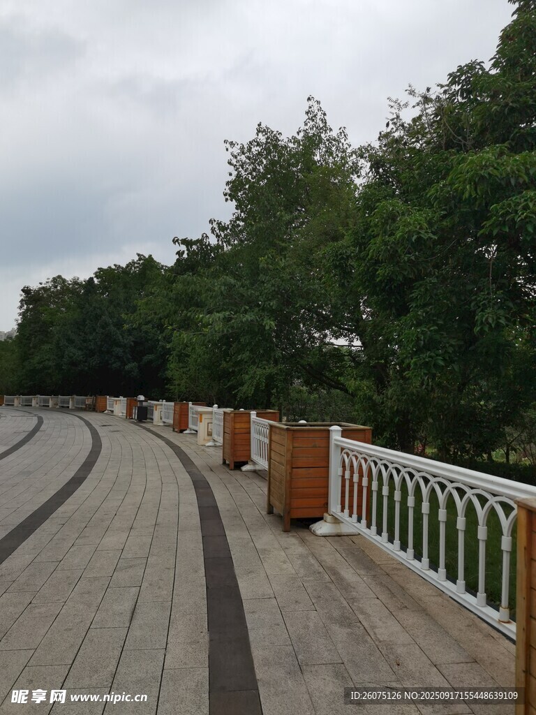 公園木質(zhì)步道與綠植景觀