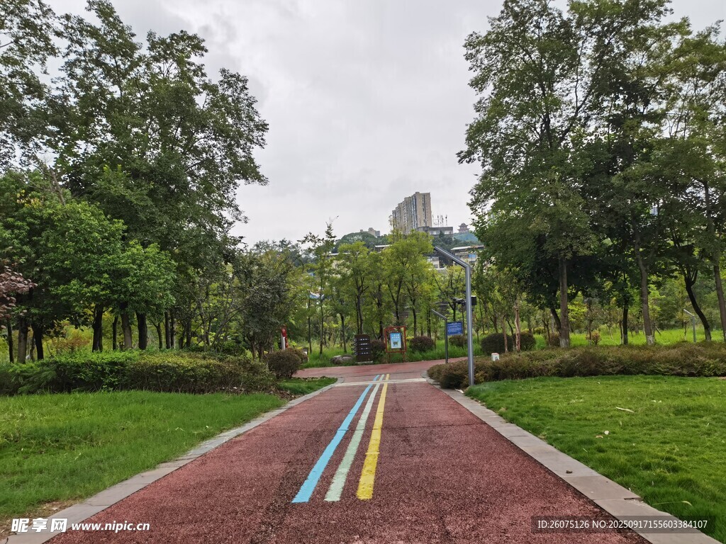 公園彩色步道風景
