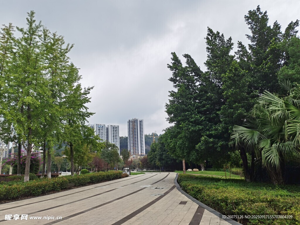 城市林蔭步道景觀