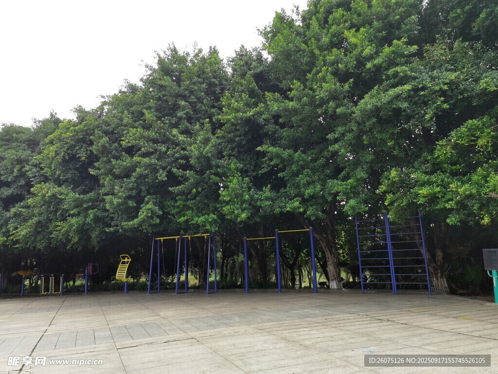 綠樹(shù)成蔭的開(kāi)闊場(chǎng)地