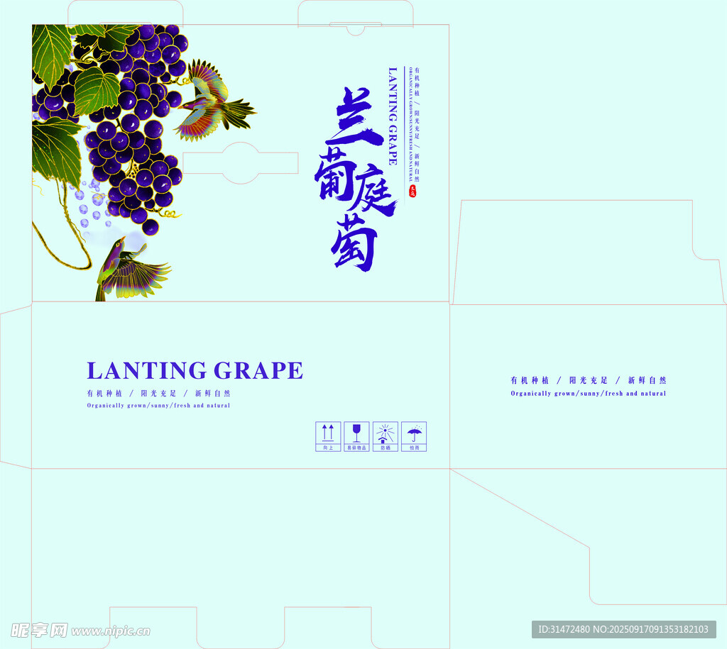 葡萄