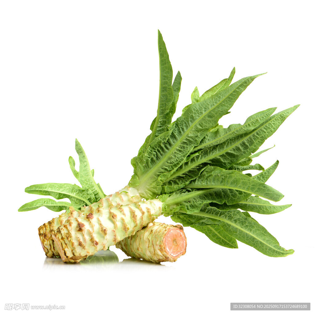 新鮮萵筍帶葉蔬菜