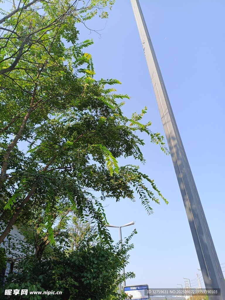 綠樹旁的高聳金屬桿