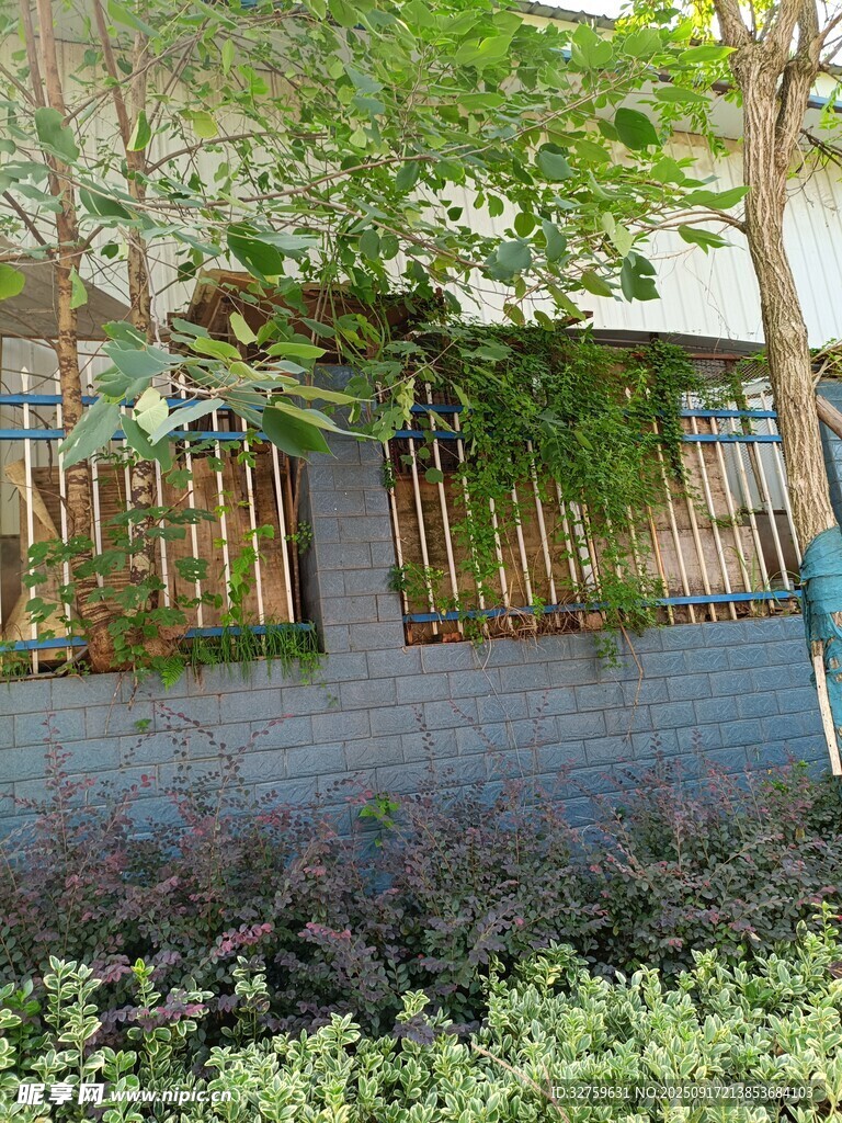 庭院綠植環(huán)繞景致宜人