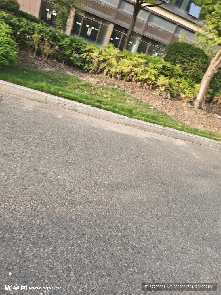 道路旁的綠植與建筑一角