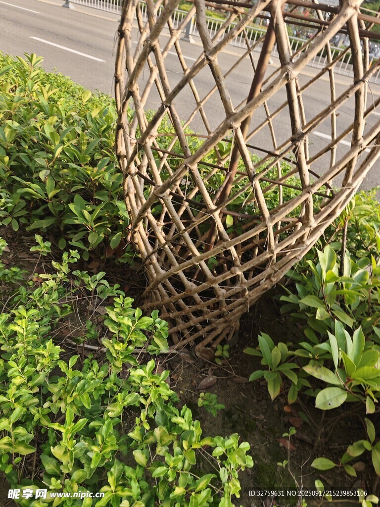 竹編藝術(shù)裝飾于綠植間