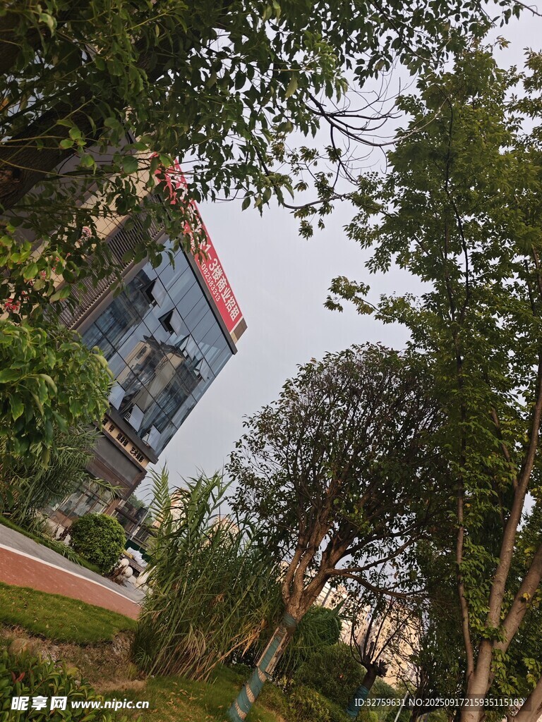 綠樹環(huán)繞中的建筑景觀