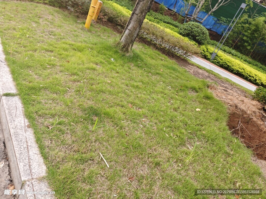 戶(hù)外草地邊的土坑場(chǎng)景