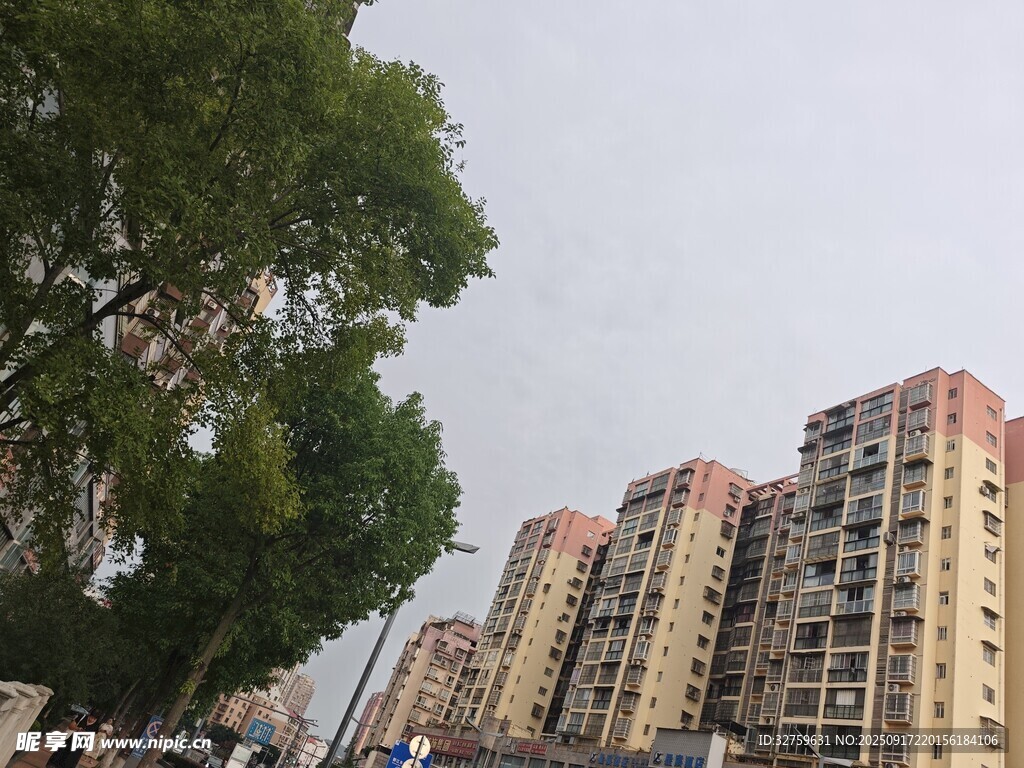 城市住宅區(qū)與綠樹景觀
