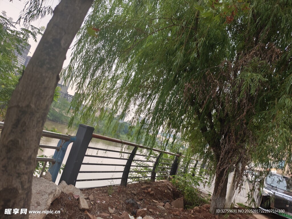 林蔭下的圍欄與蔥郁樹(shù)木
