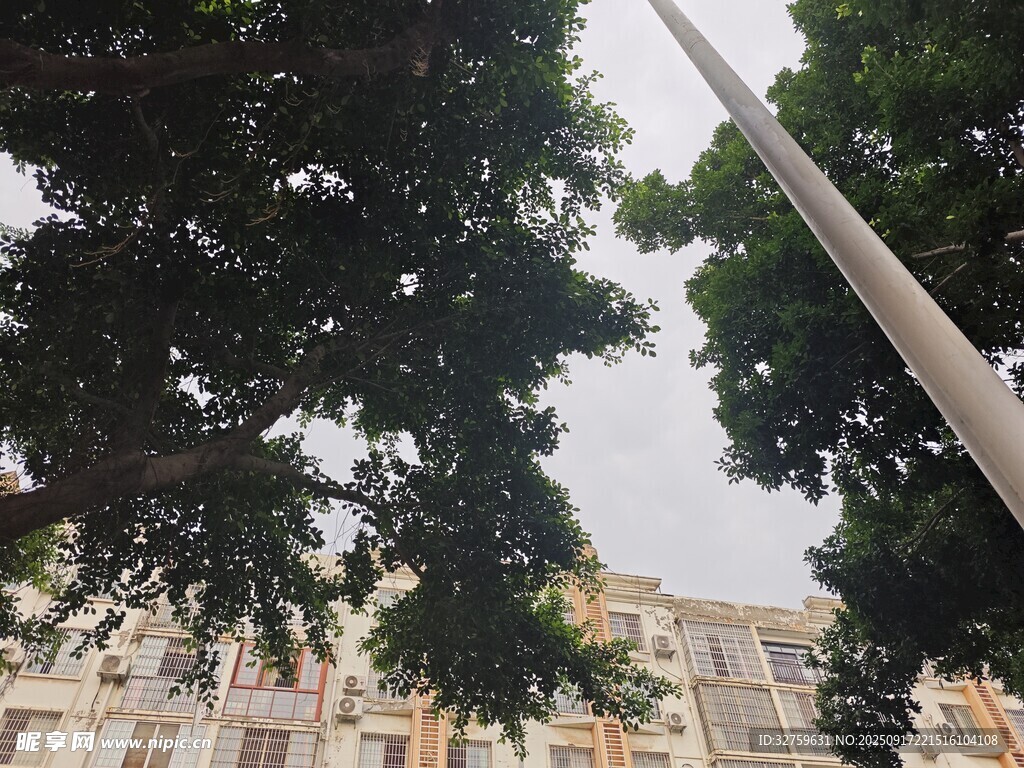 綠樹掩映下的城市景象