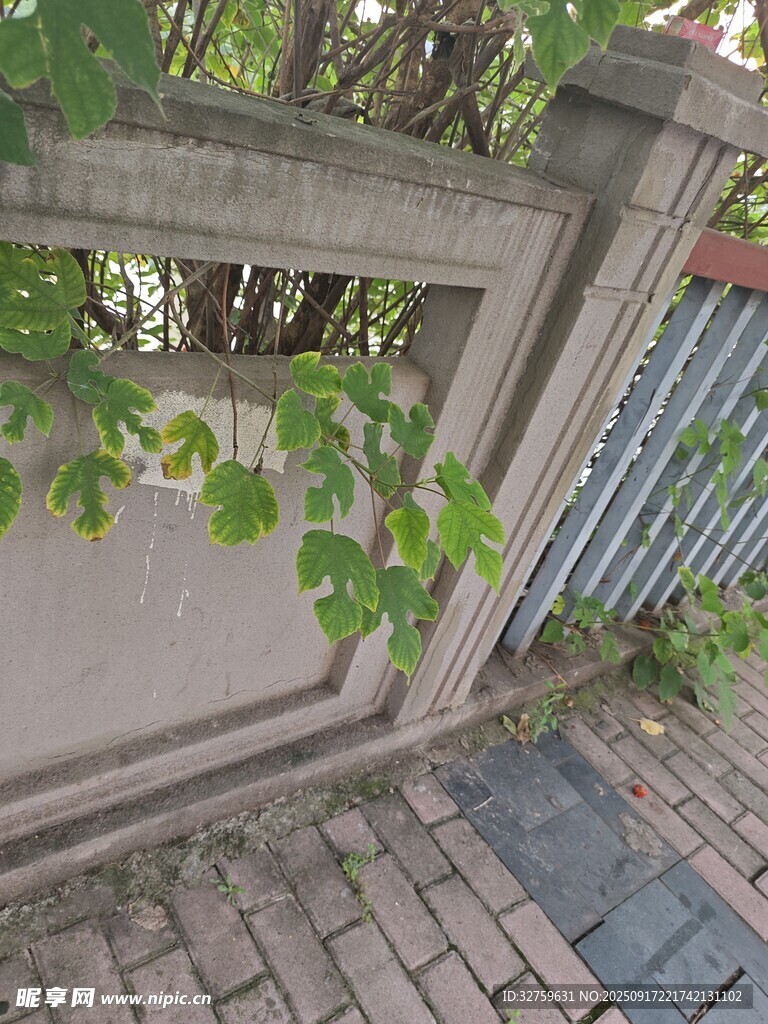 庭院綠植圍欄景致