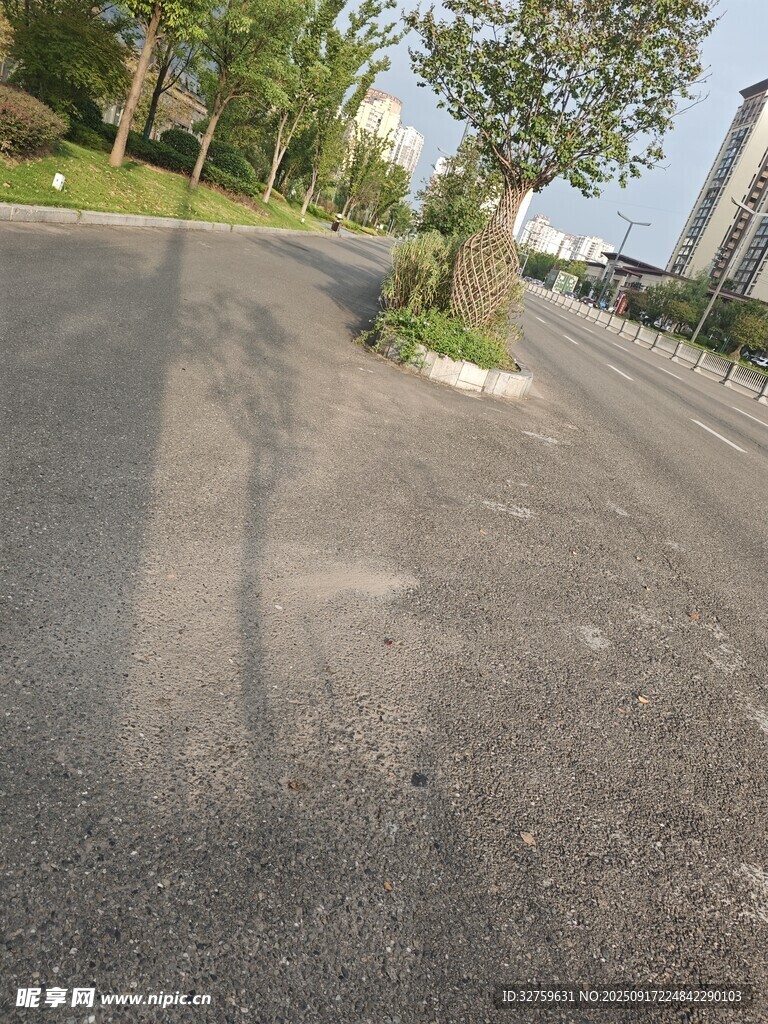 空曠道路旁的綠樹景觀