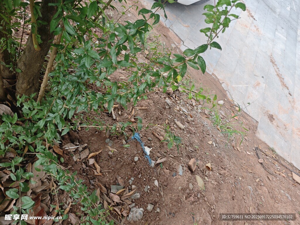 山坡邊的綠植與散落垃圾