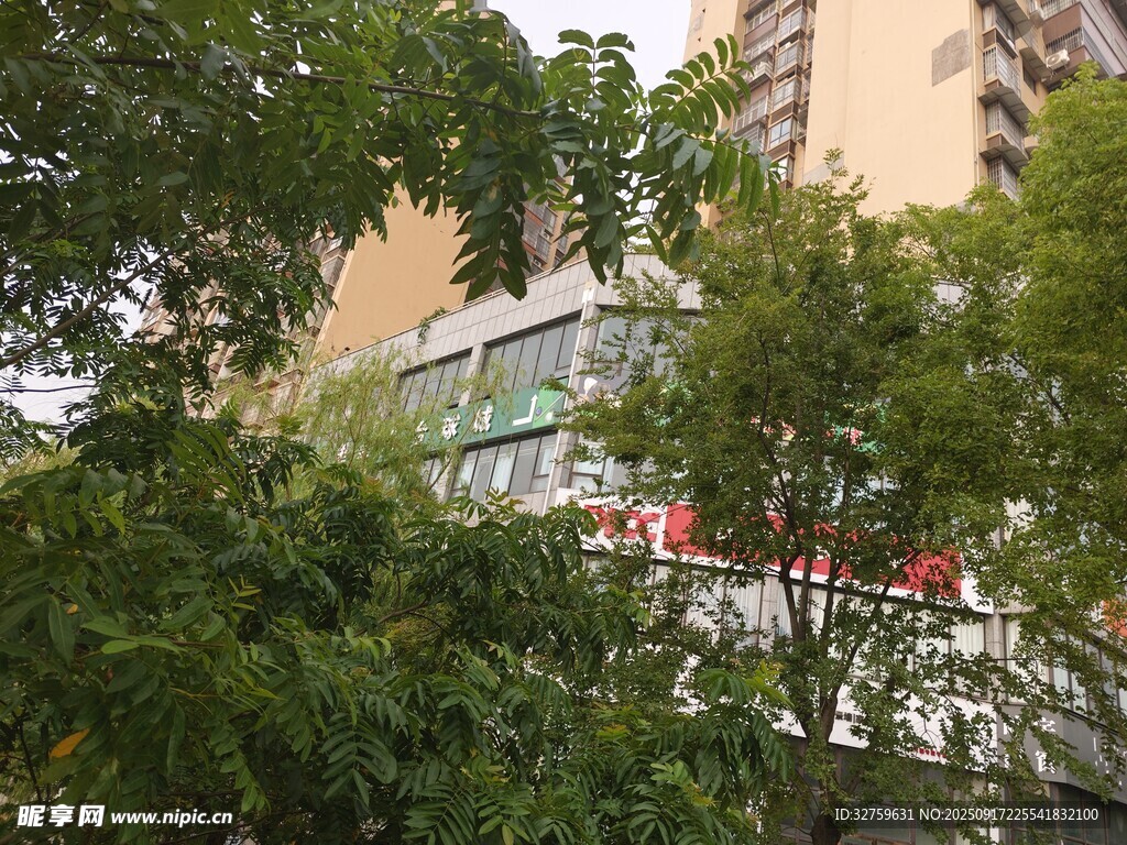 綠樹(shù)掩映下的城市建筑