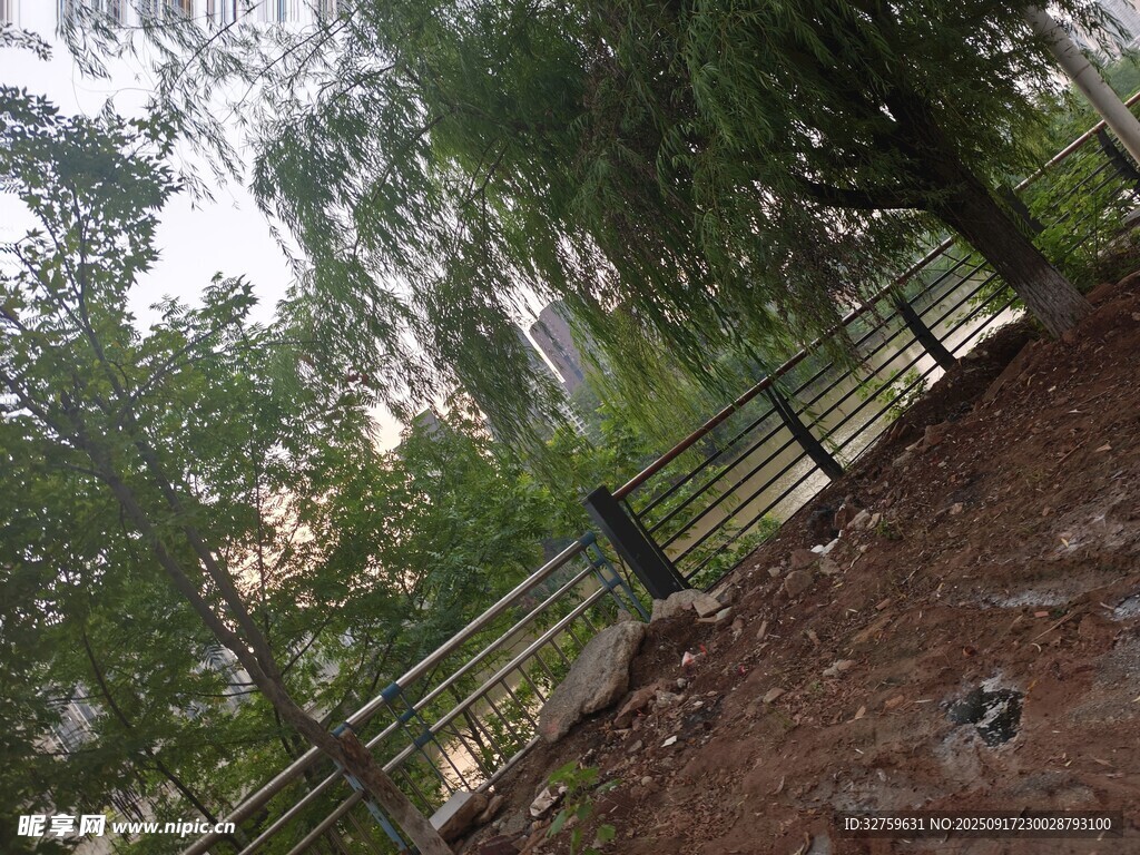 林間圍欄旁的自然景致