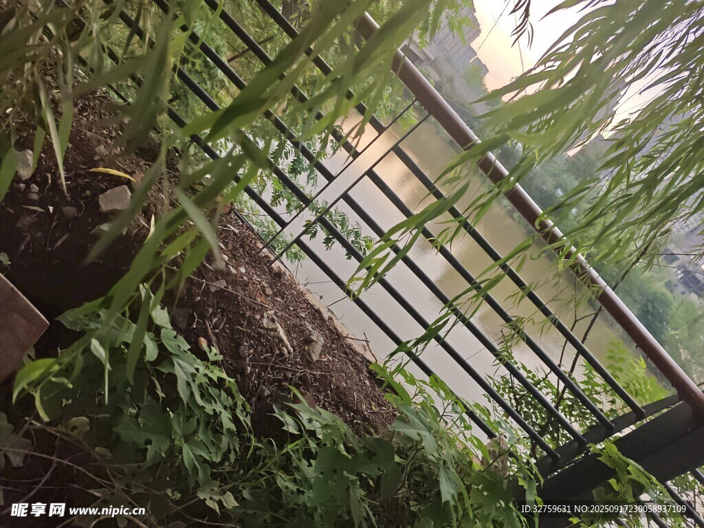 綠植環(huán)繞的金屬圍欄景觀