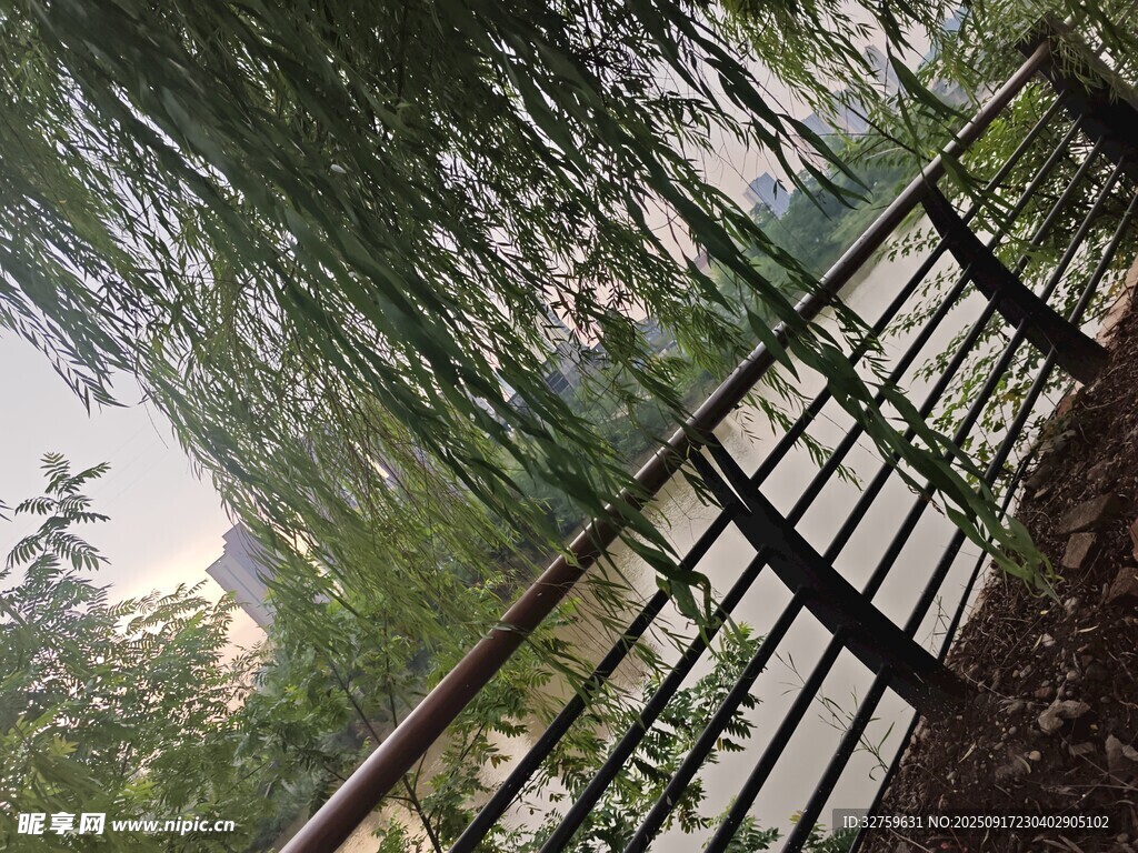 垂柳旁的木質(zhì)圍欄景觀