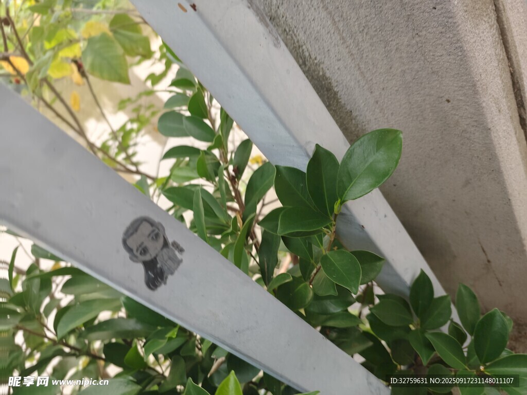 欄桿縫隙中的綠植