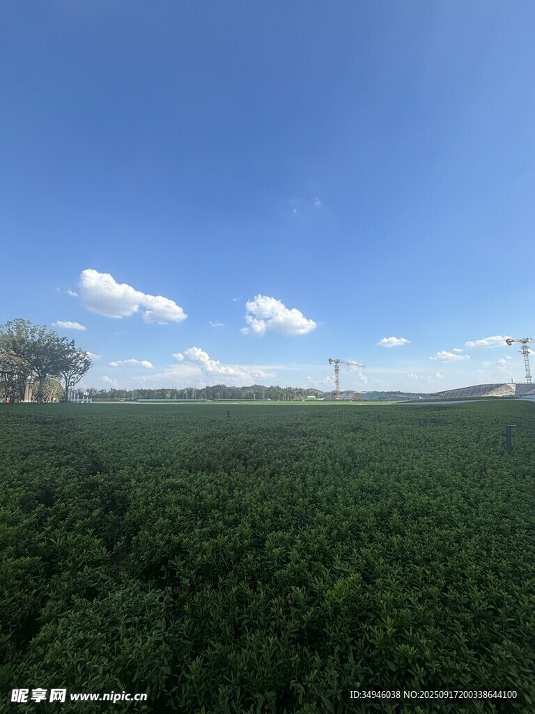廣闊綠野藍(lán)天美景