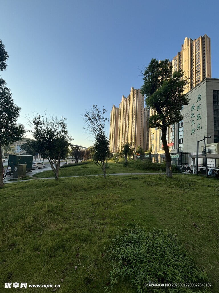 城市綠地旁的林立高樓