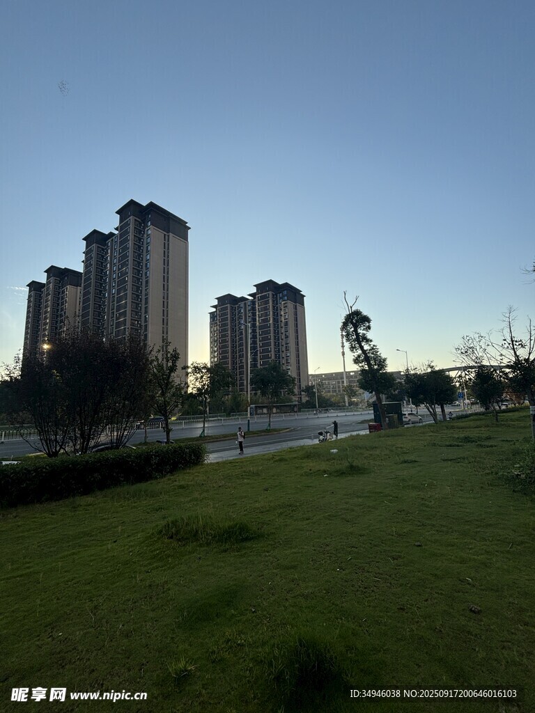 城市草地旁的高樓景觀
