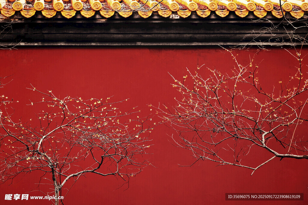 紅墻下的枯樹(shù)枝景