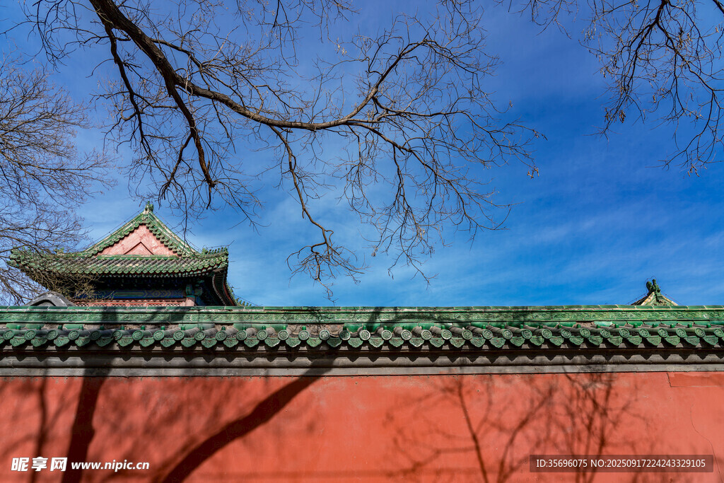 紅墻古建與藍天樹枝