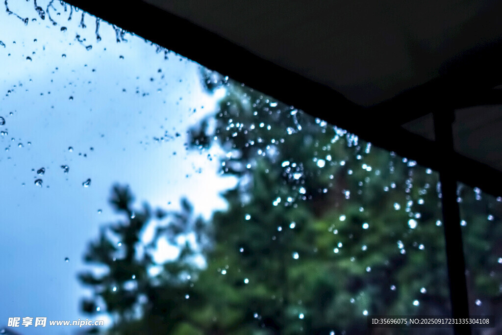 透過雨窗看蔥郁樹木