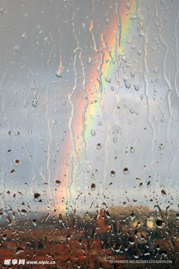 雨中彩虹下的飛舞景象