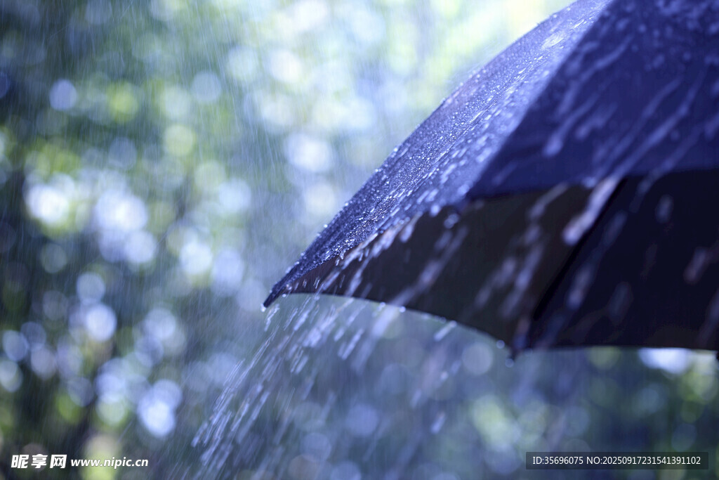 雨中撐開的深色雨傘