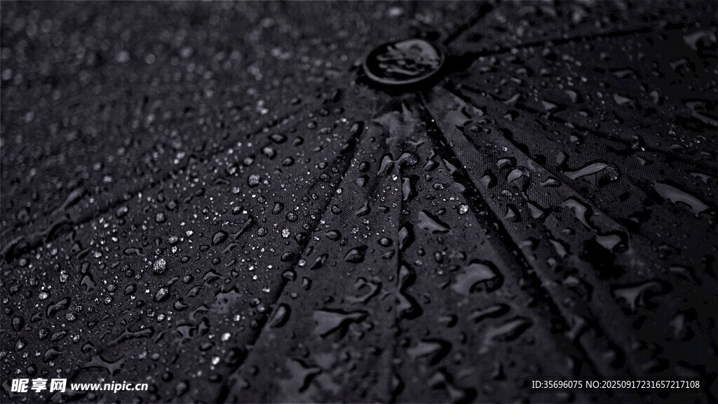 雨中傘面的水珠特寫