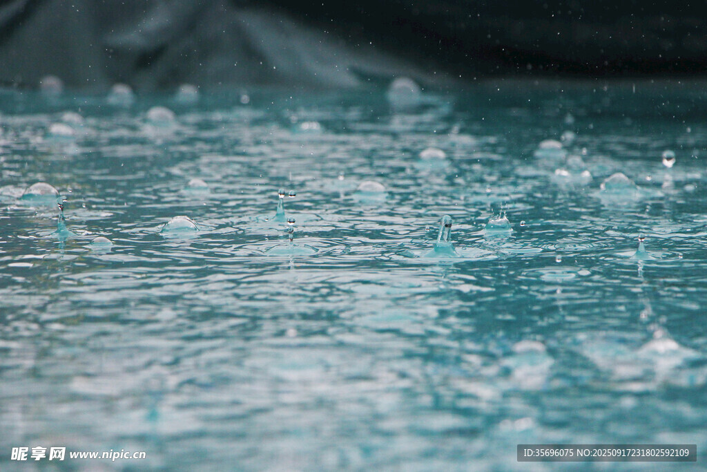 晶瑩雨滴落在水面