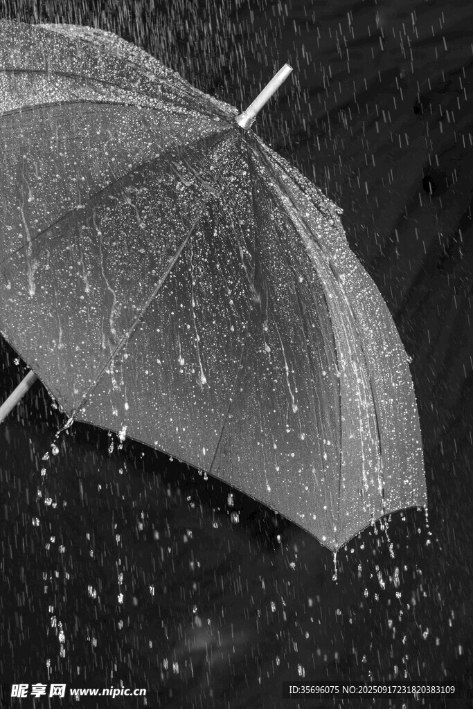 雨中撐開的透明雨傘