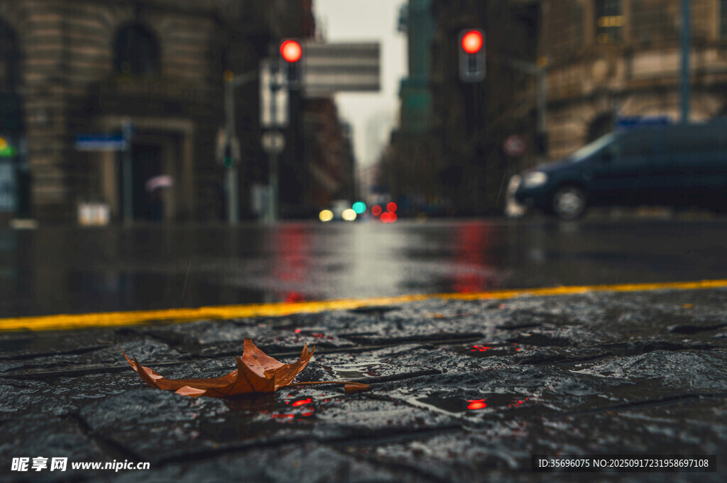 雨中街頭的橙色螃蟹