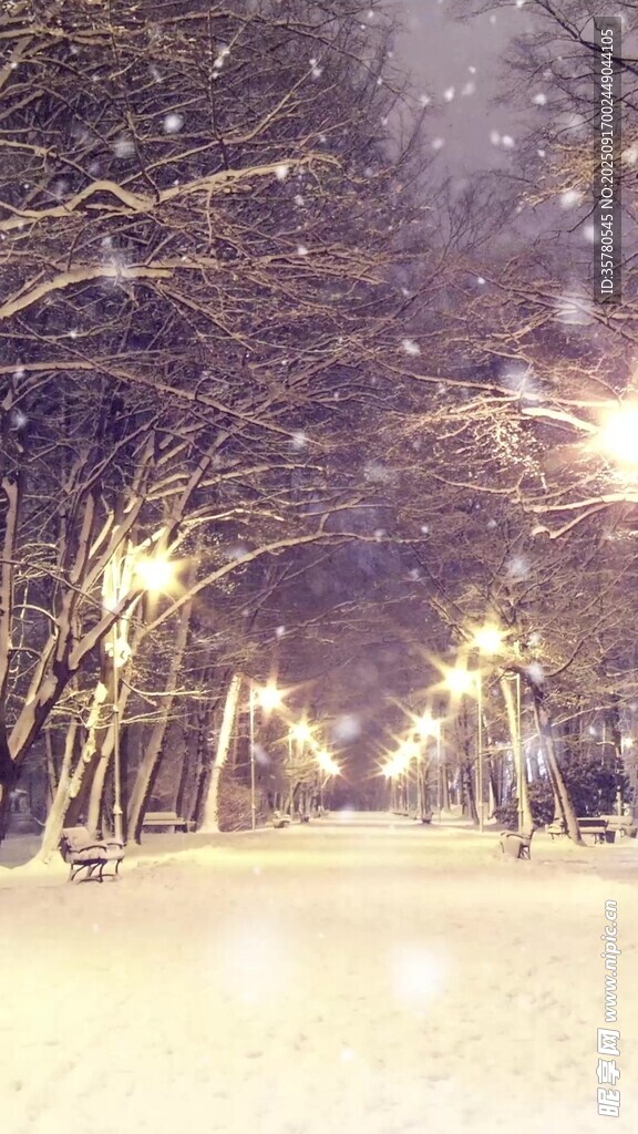 雪夜林間燈光浪漫景致