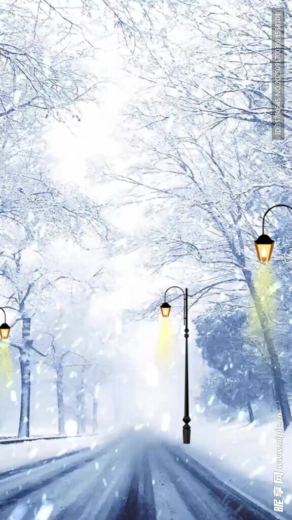 冬日雪中路路燈映雪景