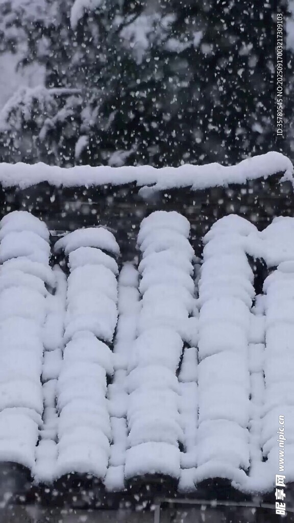 雪覆木欄冬日純凈景致