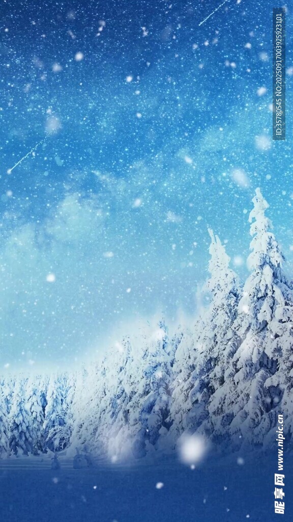 冬日雪景中的靜謐森林