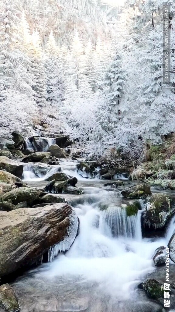 冬日溪流雪景