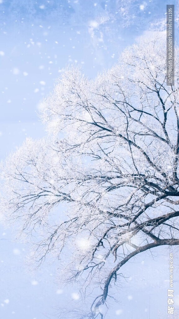 冬日雪覆樹枝美景