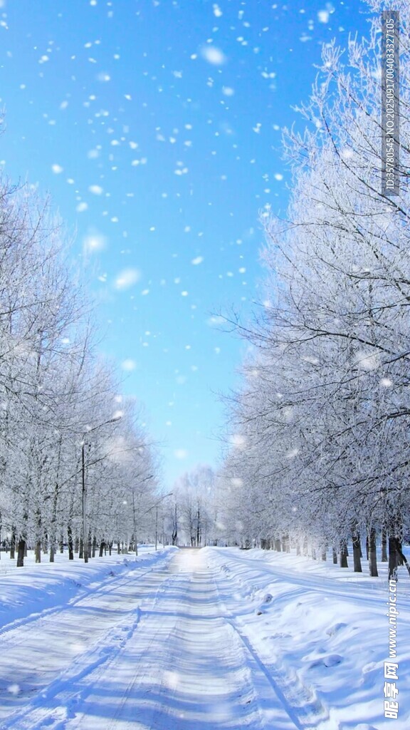 冬日雪林美景