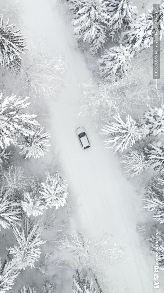 冬日雪林間的孤獨行駛車輛