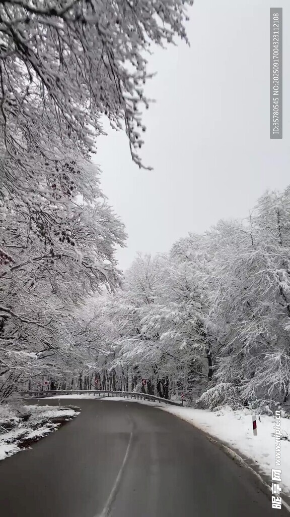 雪覆道路銀裝素裹的美景