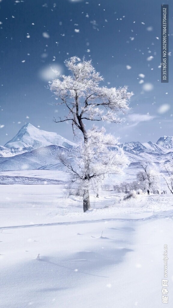 冬日雪景中的孤樹