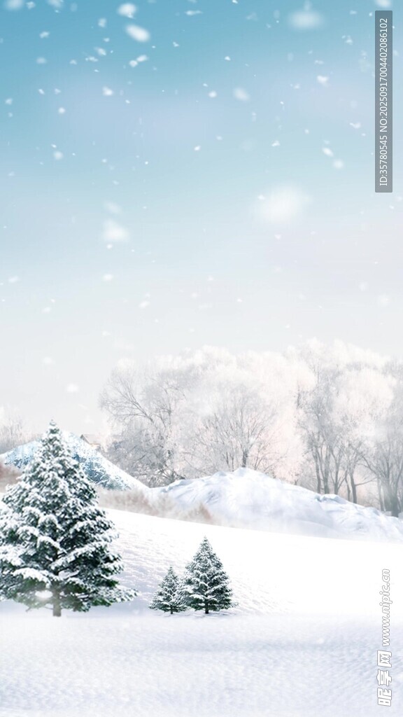 冬日雪景中的靜謐松林