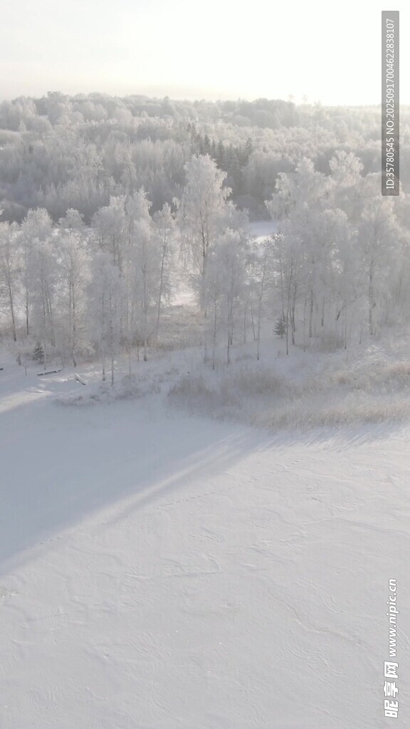 冬日雪林景觀